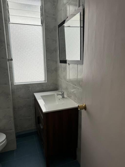 10 Independientes Apartamento Concepción